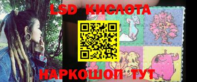 PSILOCYBIN Гулькевичи