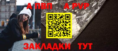 стаф Кунгур