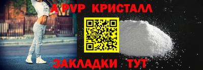стаф Кунгур