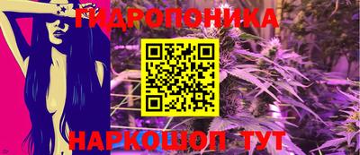стаф Кунгур